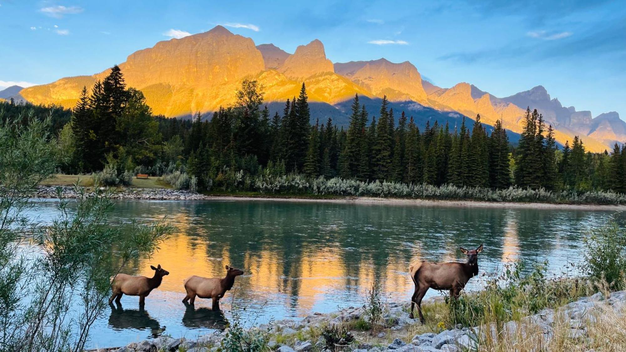 Unit #302 Mountain View 2 Beds In Dt Apartman Canmore Kültér fotó